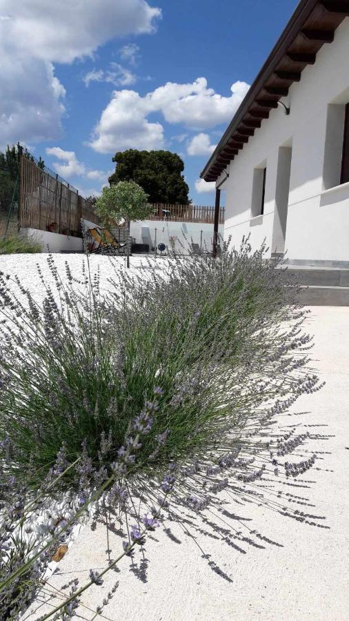 La Perla Casa Rural Sostenible Hiendelaencina Exteriör bild